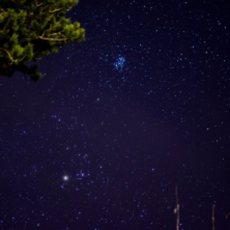 The Pleiades star cluster above the red eye of Taurus from Abriachan forest