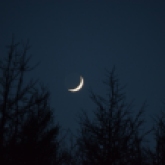 Thin waxing crescent Moon above Abriachan Forest