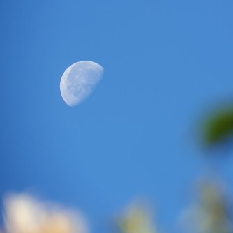 Daylight waning gibbous Moon